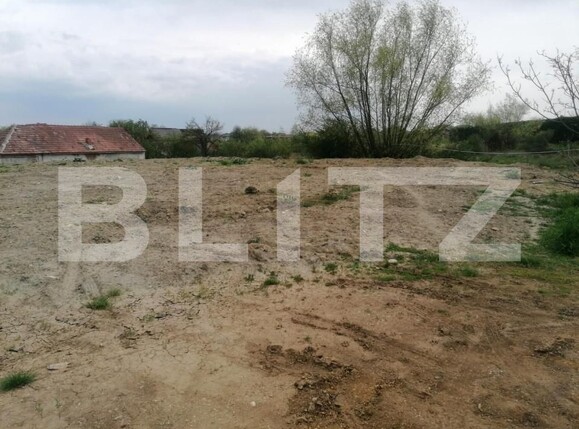 Teren de vânzare Micești - 143101TV | BLITZ Alba Iulia | Poza3