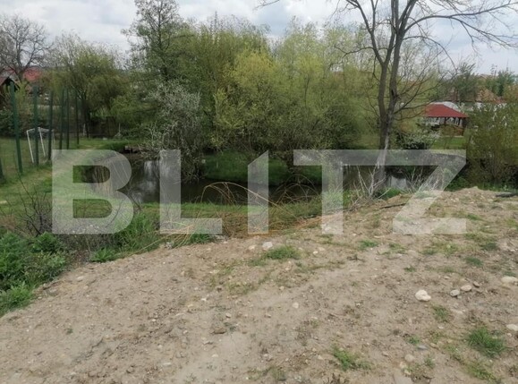 Teren de vânzare Micești - 143101TV | BLITZ Alba Iulia | Poza4