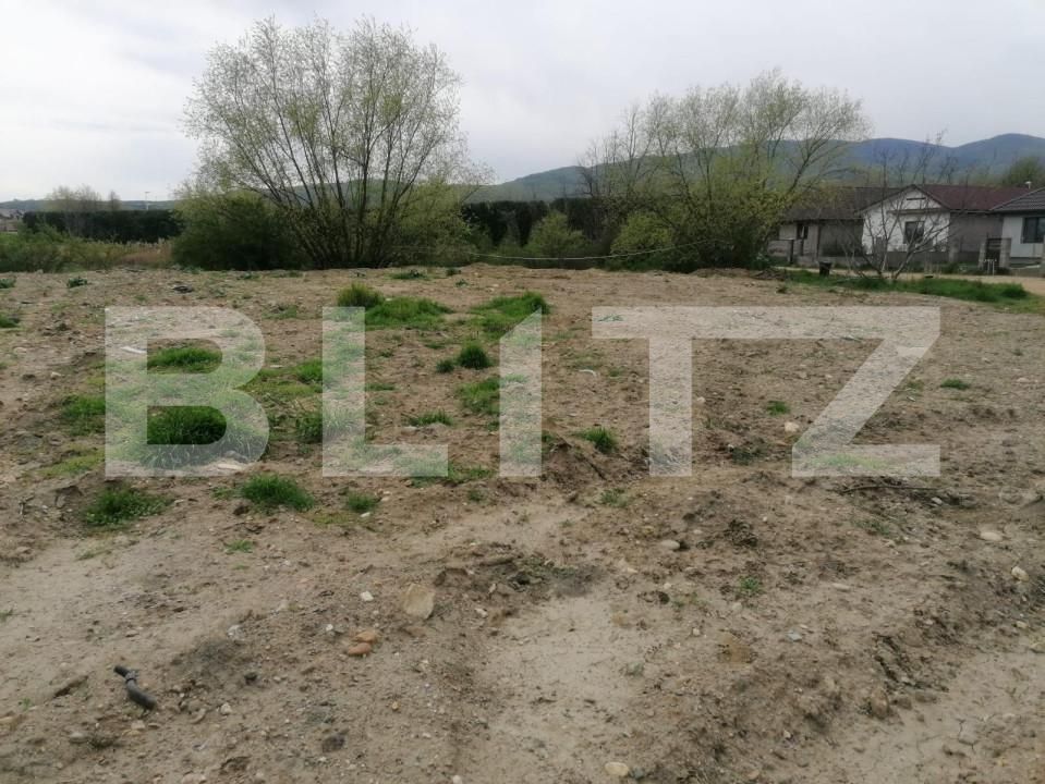 Teren de vânzare Micești - 143101TV | BLITZ Alba Iulia | Poza2