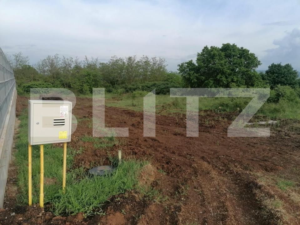 Teren de vânzare Cetate - 143103TV | BLITZ Alba Iulia | Poza1