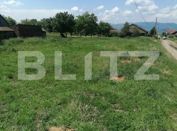 Teren de vânzare Sud - 143110TV | BLITZ Alba Iulia | Poza3