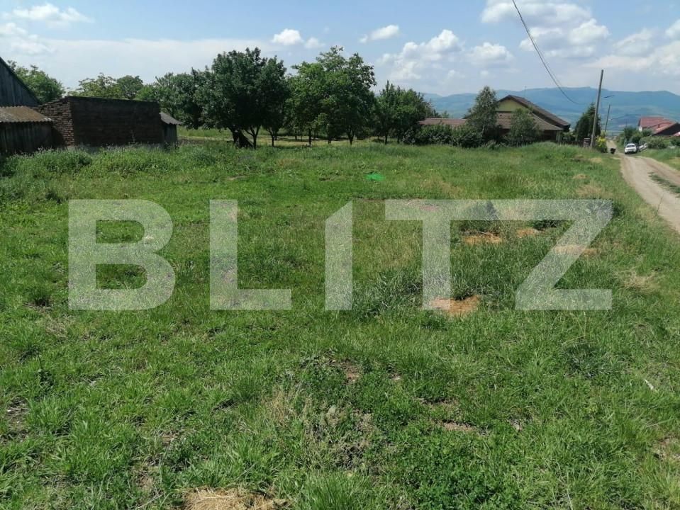 Teren de vânzare Sud - 143110TV | BLITZ Alba Iulia | Poza3
