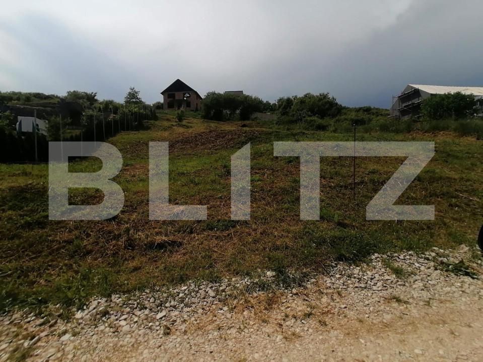 Teren de vânzare Cetate - 143111TV | BLITZ Alba Iulia | Poza1