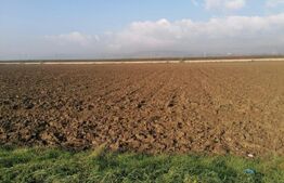 Teren intravilan 4500 mp zona Oarda cu iesire la DN1