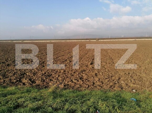 Teren de vânzare Sud - 143114TV | BLITZ Alba Iulia | Poza2