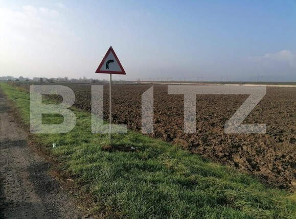 Teren de vânzare Sud - 143114TV | BLITZ Alba Iulia | Poza1