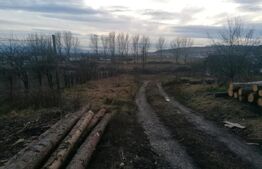 Teren intravilan, 3075 mp, cu toate utilitatile, Vest