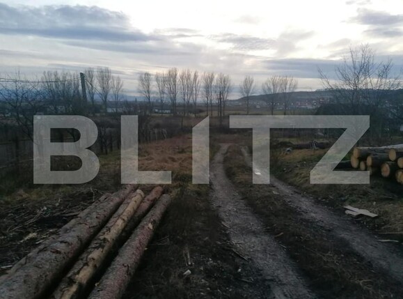 Teren de vânzare Vest - 143121TV | BLITZ Alba Iulia | Poza2