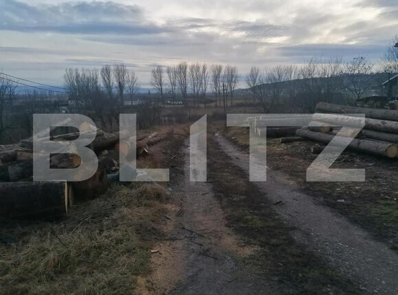 Teren de vânzare Vest - 143121TV | BLITZ Alba Iulia | Poza1