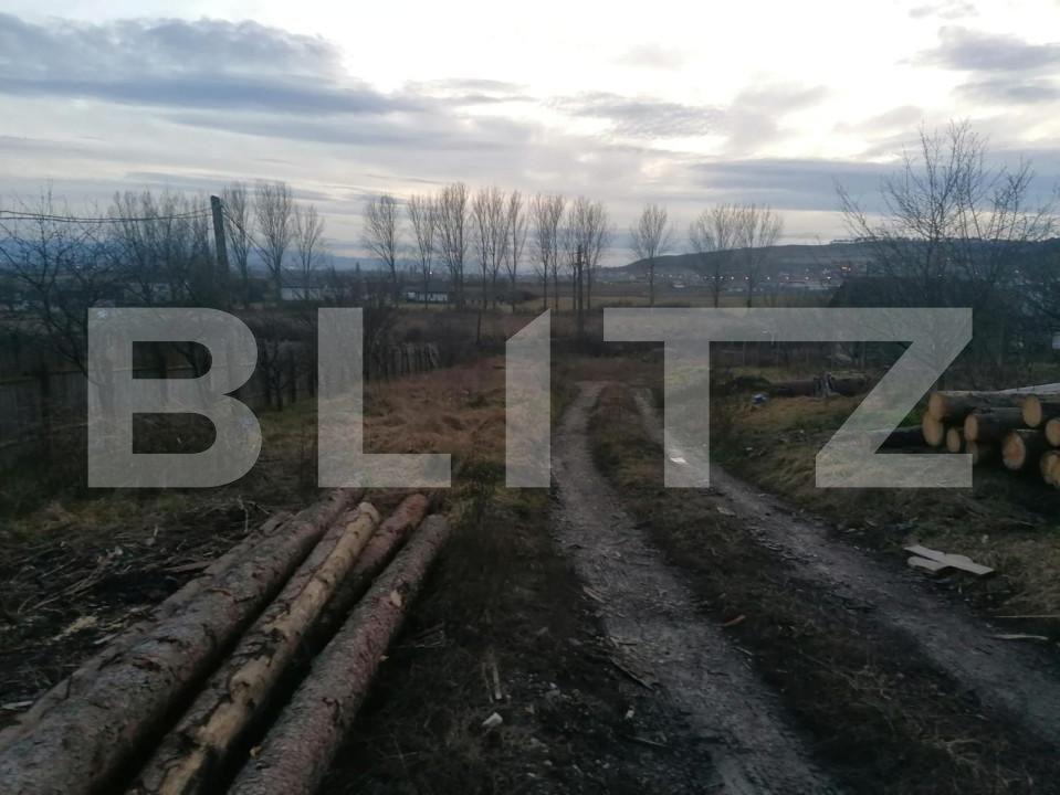 Teren de vânzare Vest - 143121TV | BLITZ Alba Iulia | Poza2
