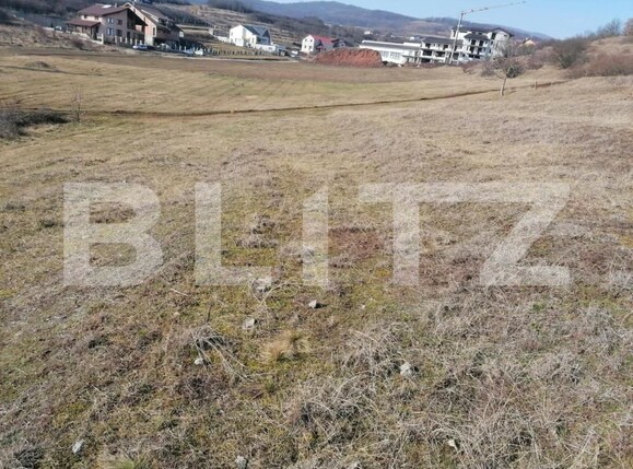 Teren de vânzare Cetate - 143122TV | BLITZ Alba Iulia | Poza3