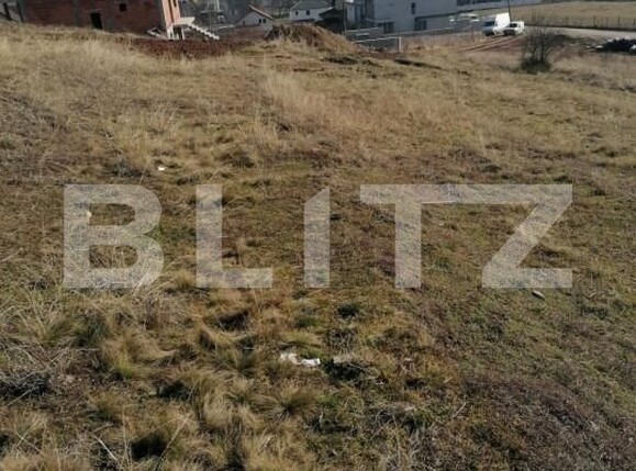 Teren de vânzare Cetate - 143122TV | BLITZ Alba Iulia | Poza1