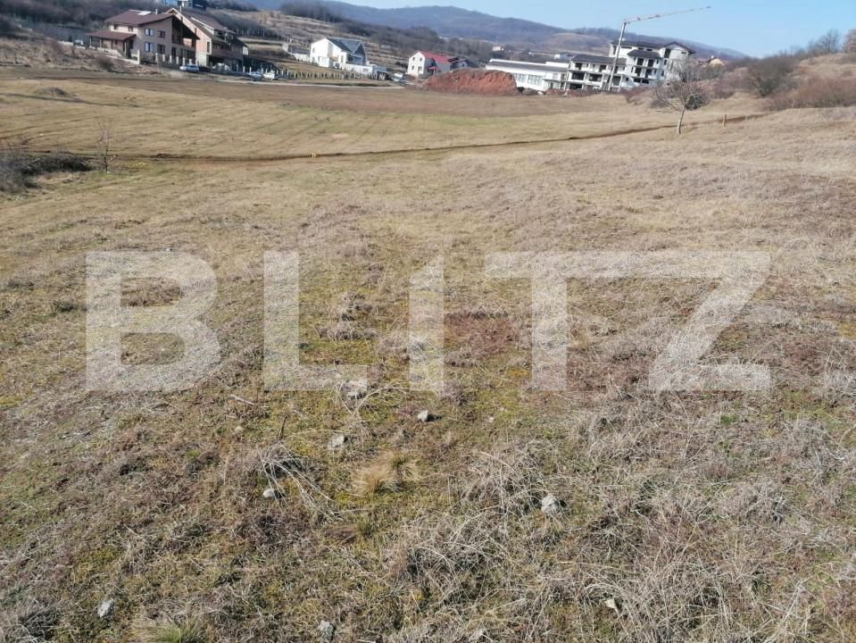 Teren de vânzare Cetate - 143122TV | BLITZ Alba Iulia | Poza3