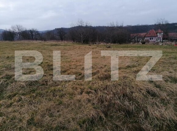 Teren de vânzare Sud-Vest - 143124TV | BLITZ Alba Iulia | Poza2
