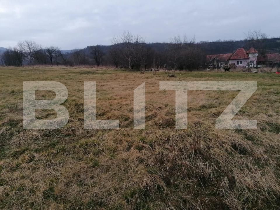 Teren de vânzare Sud-Vest - 143124TV | BLITZ Alba Iulia | Poza2