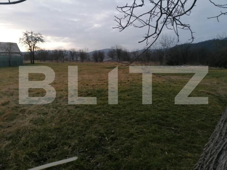 Teren de vânzare Sud-Vest - 143124TV | BLITZ Alba Iulia | Poza3