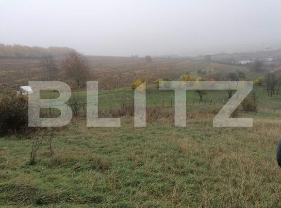 Teren de vânzare Exterior Nord - 143129TV | BLITZ Alba Iulia | Poza4
