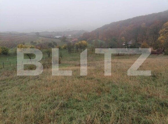 Teren de vânzare Exterior Nord - 143129TV | BLITZ Alba Iulia | Poza1