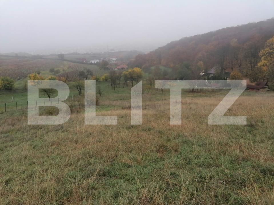 Teren de vânzare Exterior Nord - 143129TV | BLITZ Alba Iulia | Poza1