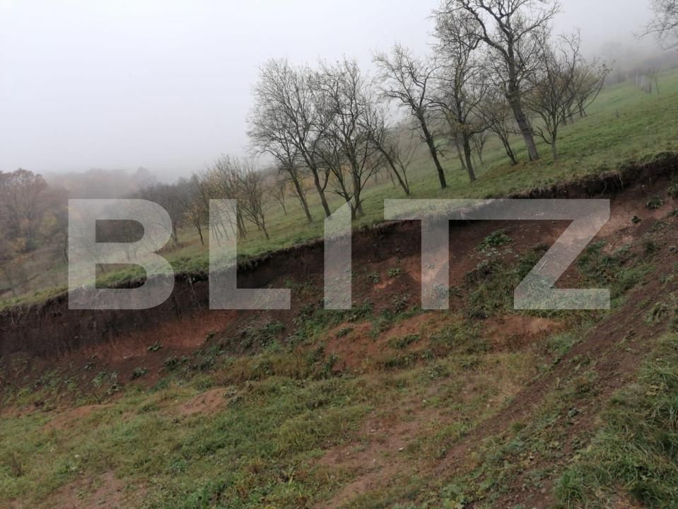 Teren de vânzare Exterior Nord - 143129TV | BLITZ Alba Iulia | Poza2