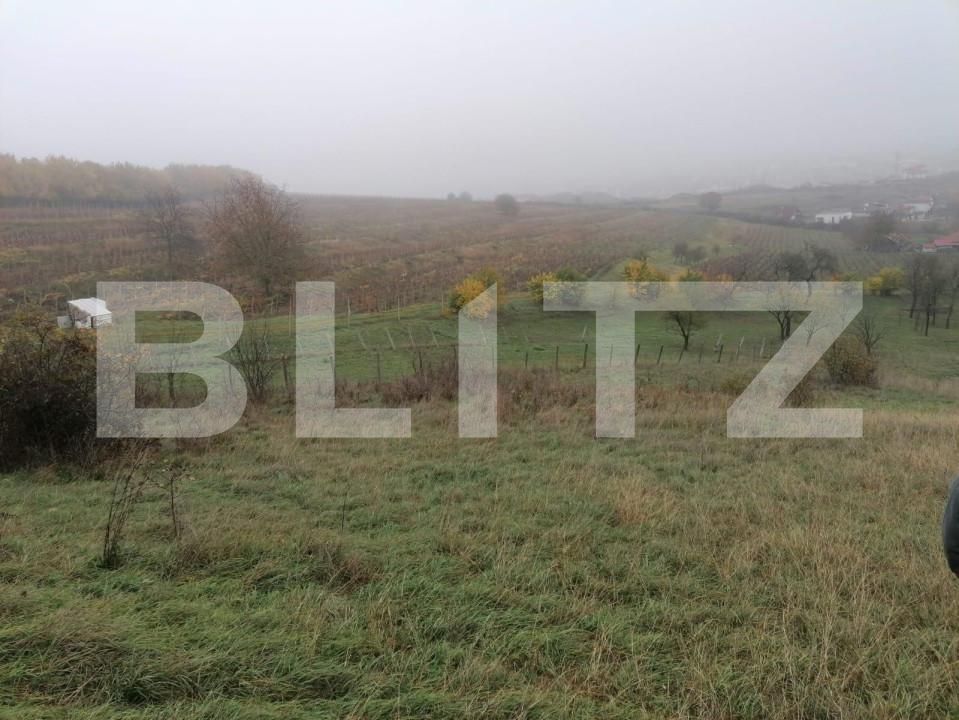 Teren de vânzare Exterior Nord - 143129TV | BLITZ Alba Iulia | Poza4