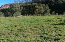 Teren intravilan, 1000mp, utilitati, Sard