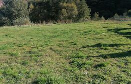 Teren intravilan, 1000mp, utilitati, Sard