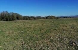 Teren intravilan 17.000mp, in localitatea Sard