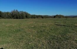 Teren intravilan 17.000mp, in localitatea Sard