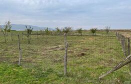 Teren intravilan, zona Partos, suprafata 595 mp