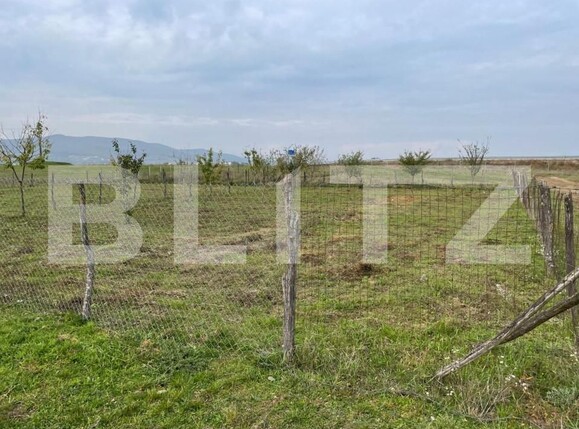 Teren de vânzare Partoș - 143132TV | BLITZ Alba Iulia | Poza1