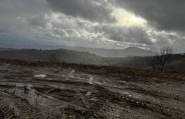 Teren pentru cabana 780 mp la asfalt pe Trans Alpina de Apuseni