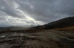 Teren pentru cabana 780 mp la asfalt pe Trans Alpina de Apuseni