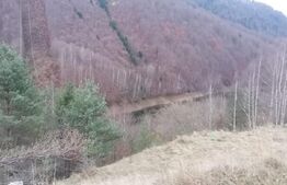 Teren 14 ha compact langa Lacul Tau Bistra