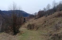 Teren 14 ha compact langa Lacul Tau Bistra