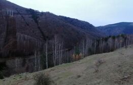 Teren 14 ha compact langa Lacul Tau Bistra