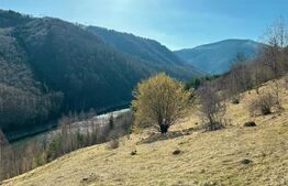 Teren 14 ha compact langa Lacul Tau Bistra