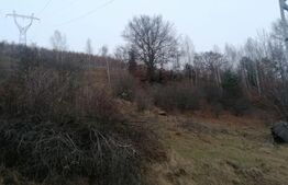 Teren 14 ha compact langa Lacul Tau Bistra