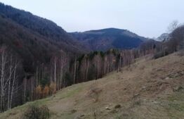 Teren 14 ha compact langa Lacul Tau Bistra