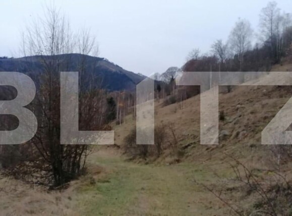 Teren de vânzare Exterior Sud - 143137TV | BLITZ Alba Iulia | Poza6