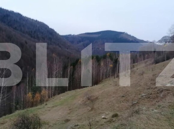 Teren de vânzare Exterior Sud - 143137TV | BLITZ Alba Iulia | Poza4