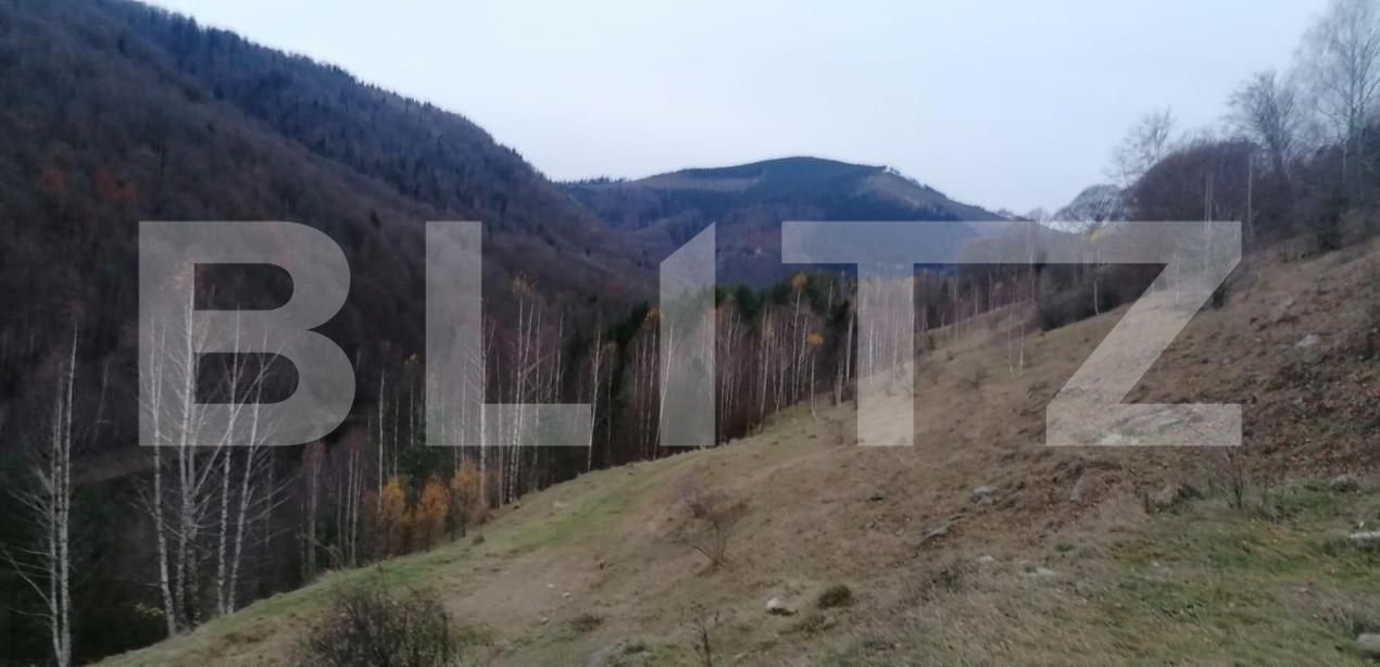 Teren de vânzare Exterior Sud - 143137TV | BLITZ Alba Iulia | Poza4