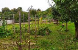 Teren de 830 mp si casa renovabila, zona Centrala 