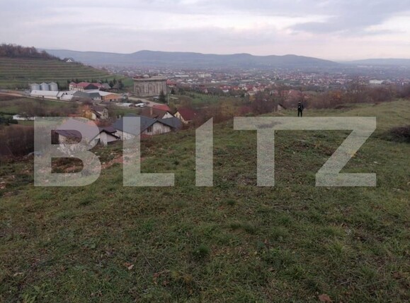 Teren de vânzare Nord - 143139TV | BLITZ Alba Iulia | Poza3