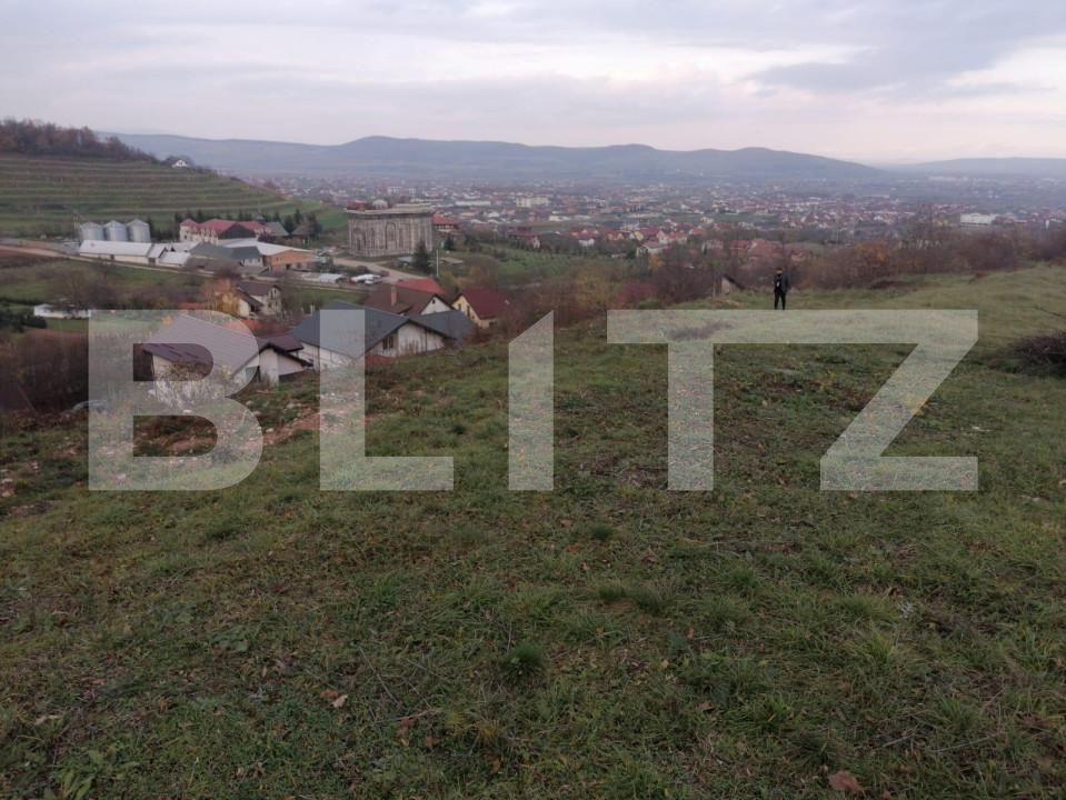 Teren de vânzare Nord - 143139TV | BLITZ Alba Iulia | Poza3