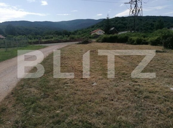 Teren de vânzare Micești - 143140TV | BLITZ Alba Iulia | Poza1
