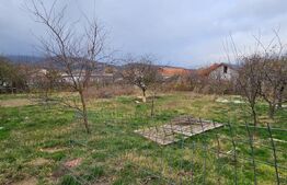 Teren intravilan, 896 mp, zona Micesti