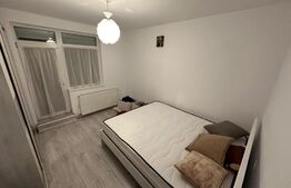 Apartament 2 camere cu gradina, 55 mp, Cetate