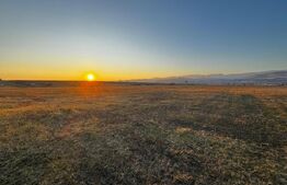 TEREN INTRAVILAN 780mp, zona Partoș - strada Viilor