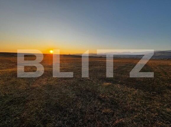 Teren de vânzare Partoș - 143600TV | BLITZ Alba Iulia | Poza5